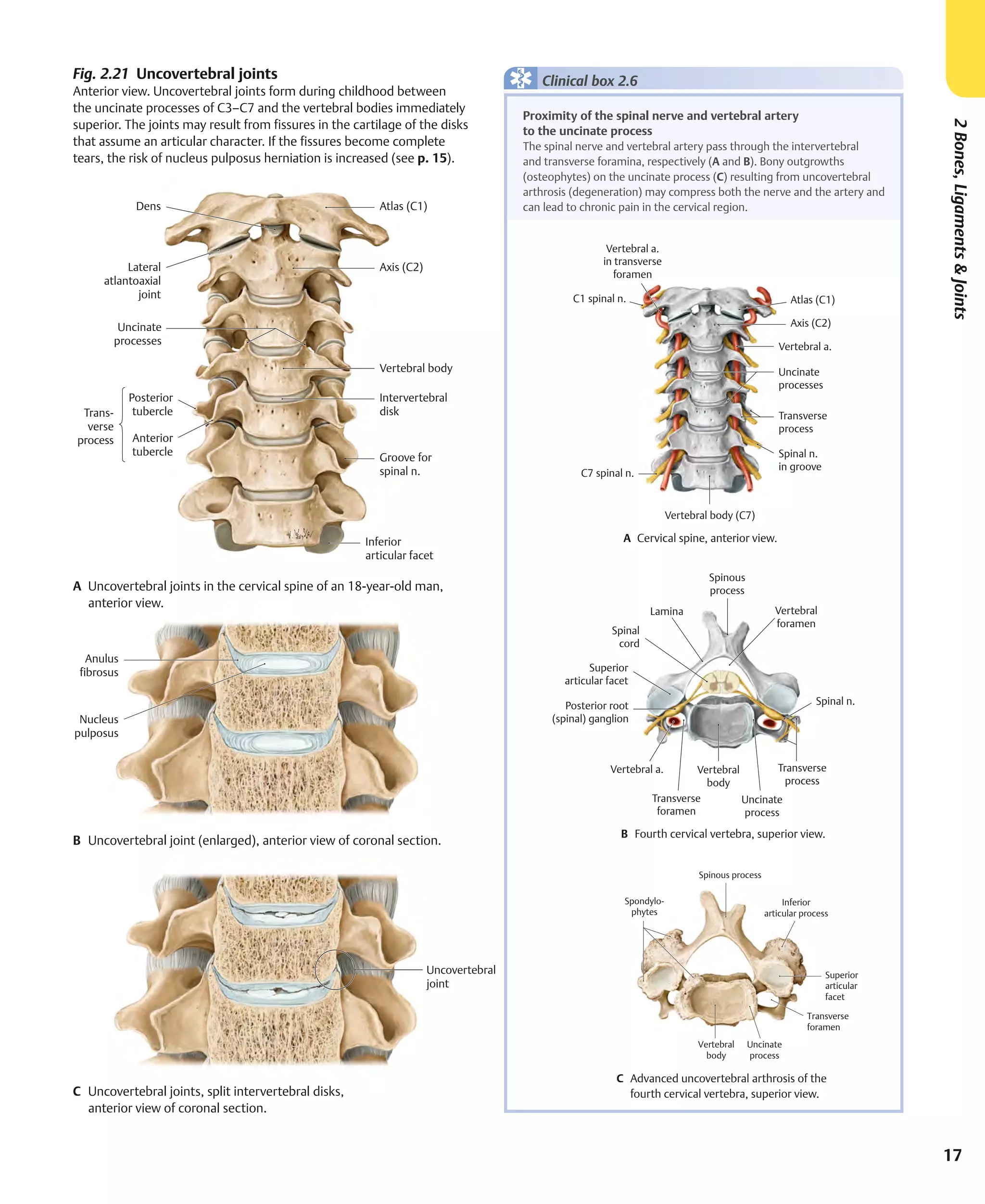 Atlas of Anatomy 4th Edition.Pdf