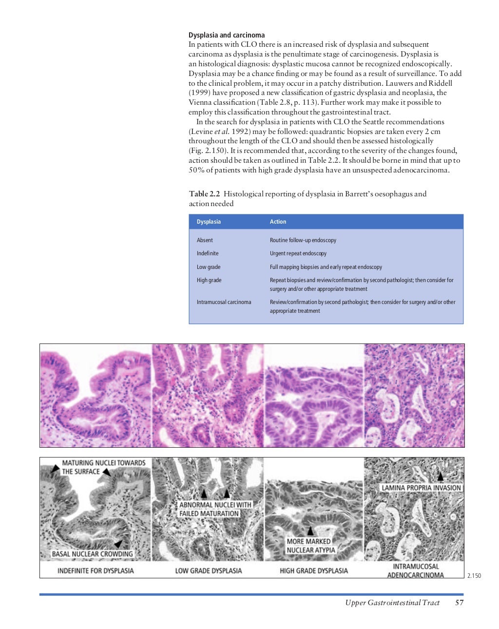 Atlas of gastrointestinal endoscopy and related pathology (blackwell,…
