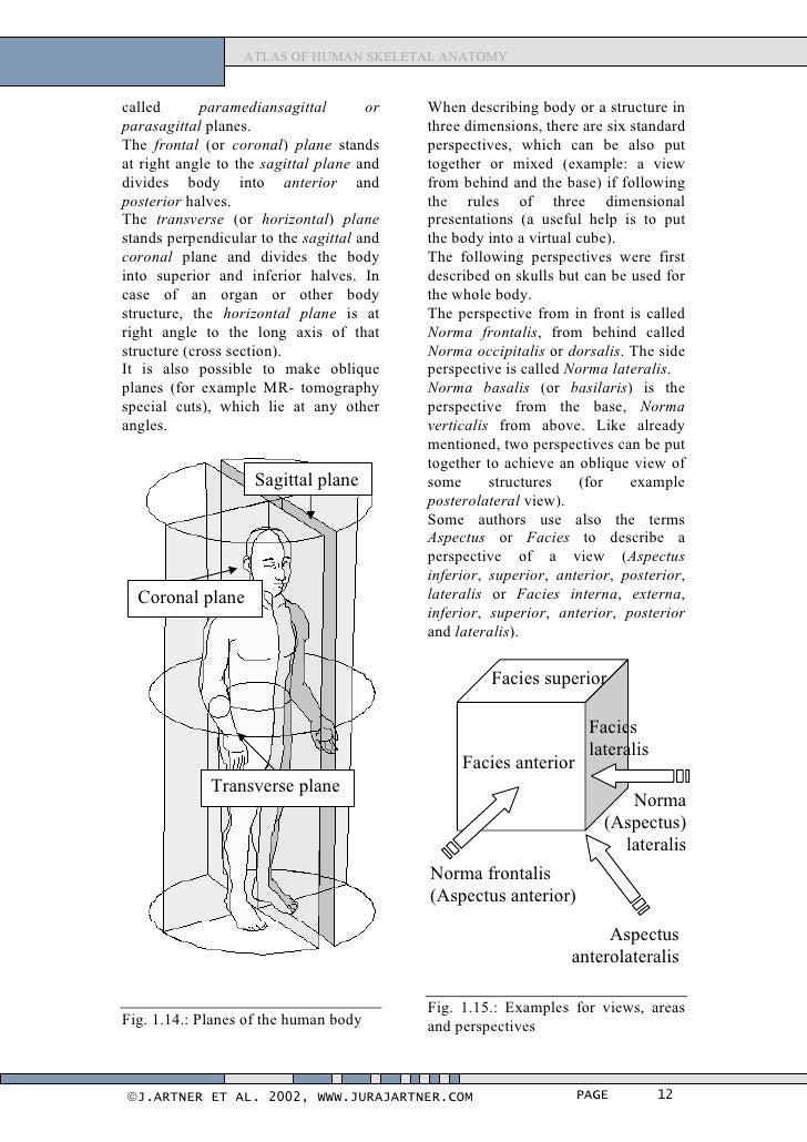 Atlas of human_skeletal_anatomy