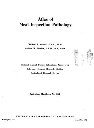 Atlas of
Meat Inspection Pathology
WilMam S. Monlux, D.V.M., Ph.D.
Andrew W. Monlux, D.V.M., M.S., Ph.D.
National Animal Disease Laboratory, Ames, Iowa
Veterinary Sciences Research Division
Agricultural Research Service
Agriculture Handbook No. 367
C:) :: •: >•
O^:. -
n;:^.i¿ 1
c ^- *
r; -"..; ■■ *.
1 j — -
'* ■" i ^
r" - " _ . . J
c • x>
C}. 1
'> 1
^ 1
I>: ?
' Î
"*■"*■ f •=1(
' .1
C5i;j w^
1
::^t^j ^.i
UNITED STATES DEPARTMENT OF AGRICULTURE
Washington, D.C Issued May 1972
 