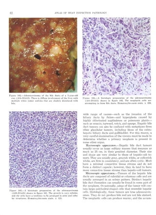 Atlas of meat inspection pathology | PDF