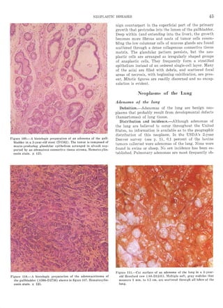 洋書 A Colour Atlas of Meat Inspection Atlas of Meat Inspection Pathology (PDF) | Vet eBooks