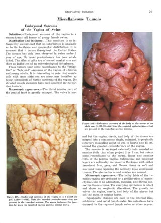 洋書 A Colour Atlas of Meat Inspection A Colour Atlas of Meat Inspection: Gil, J. Infante, Durao, J