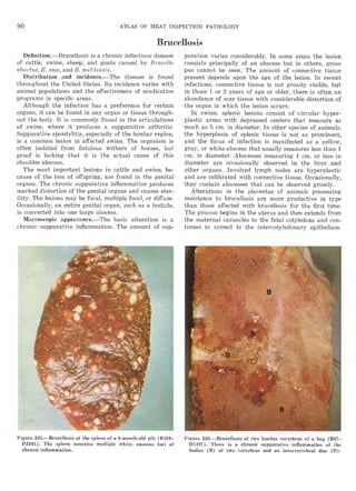 Atlas of meat inspection pathology | PDF