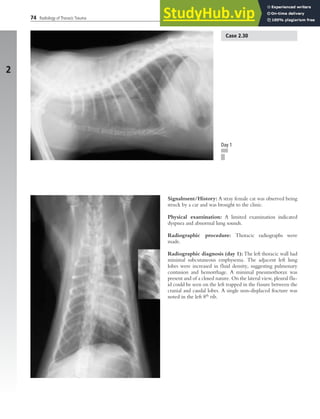 Atlas Of Radiology Of The Traumatized Dog And Cat The Case-Based ...