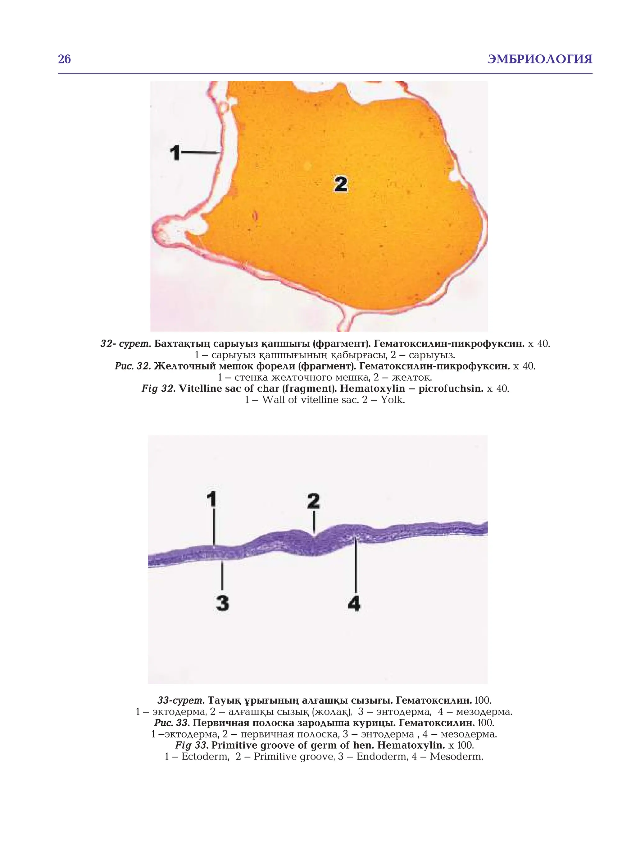 Орыстар есектің спермасын жұтады Жыныстық индустриядағы жаңа өнімдер