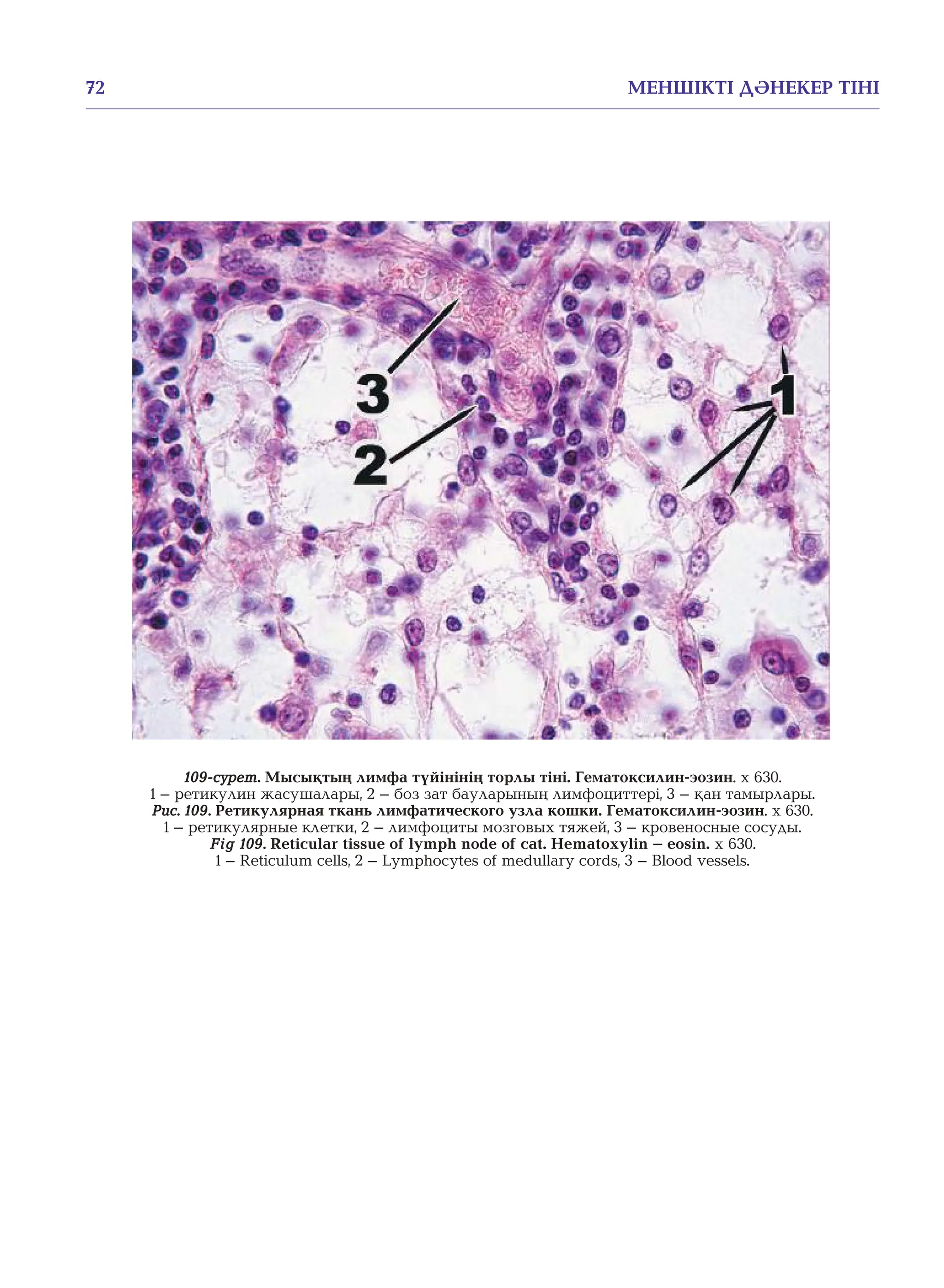 Үлкен әйелдің орысша порно видеосы