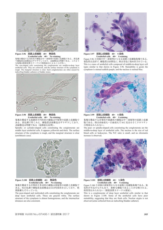 Atlas of urinary_sediment
