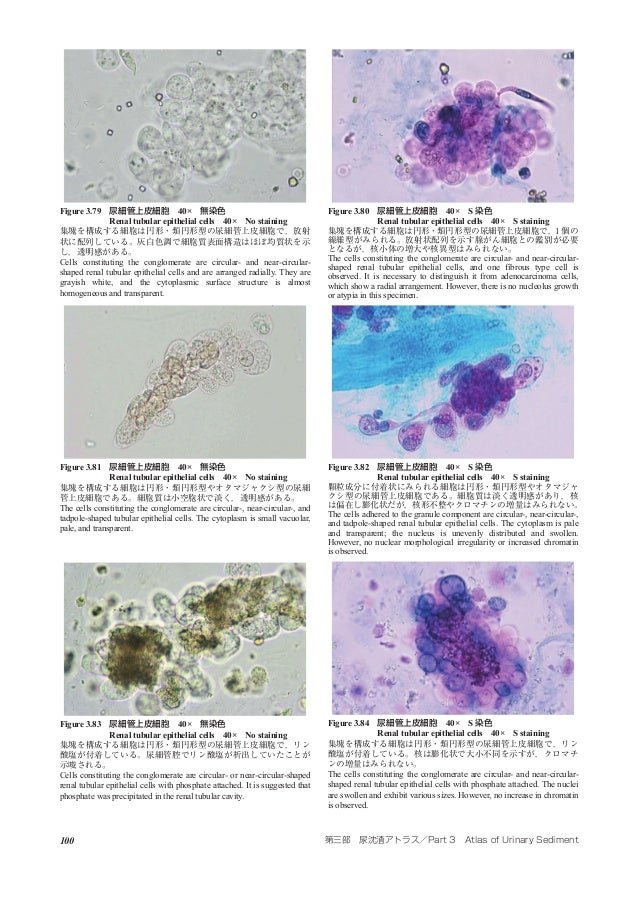 Atlas Of Urinary Sediment