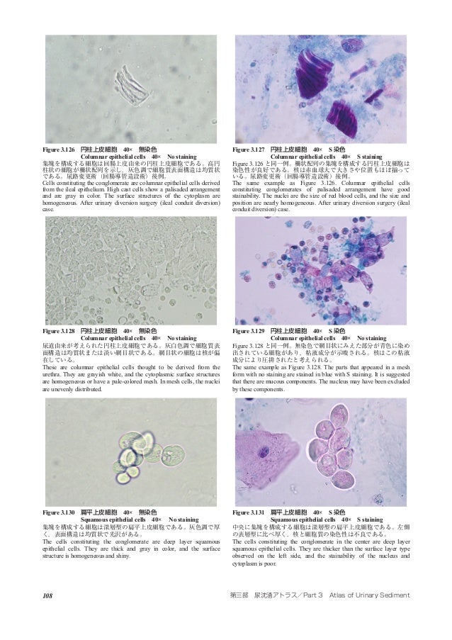 Atlas Of Urinary Sediment