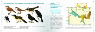 ATLAS•daQualidadedeÁguadoReservatóriodaPampulha
ATLAS•daQualidadedeÁguadoReservatóriodaPampulha
4948
Aves passeriformes mais relevantes encontradas na represa da Pampulha.
Fig. 41 – Aves passeriformes comumente encontradas no
Reservatório da Pampulha (Pinto-Coelho, Rull & Lopes, 1998).
1 - Furnarius figulus (Casaca-de-couro-da-lama)
2 - Certhiaxis cinnamomea (Curutié)
3 - Arundinicola leucocephala (Lavadeira-de-cara-branca)
4 - Donacobius atricapillus (Jacapanim)
5 - Agelaius cyanopus (Carretão)
6 - Agelaius ruficapillus (Garibaldi)
Ventos,
hidrodinâmica e a
verticalização da orla
da Pampulha.
Uma nova pesquisa mostra
porque a verticalização da
orla pode contribuir ainda
mais para a baixa qualidade
de água do reservatório.
Fig. 42 – Padrão de circulação hidrodinâmica da Lagoa da Pampulha às 16hs do dia 15/09/2009. No encarte, o tempo de residência da
água da Lagoa da Pampulha medido em dias em Setembro de 2009. Simulações obtidas com o software SISBAHIA da COPPETEC, UFRJ.
Os dados de batimetria foram fornecidos pelo LGAR-UFMG. Modelagens realizadas por Campos (2010).
Os gradientes espaciais em reservatórios
refletem a ação das forças controladoras dos
processos ecológicos. O uso de modelos
hidrodinâmicos pode ser útil para se investigar
os efeitos dos movimentos induzidos pelo
vento nos padrões de distribuição de diversas
variáveis biológicas. Assim, a turbidez, os
sólidos em suspensão ou a quantidade de
clorofila-a podem formar gradientes espaciais
em resposta à ação do vento. Uma pesquisa
recente (Campos, 2010) demonstrou que
os ventos podem, ao longo do dia, diminuir
sensivelmente as zonas de estagnação da água
na Pampulha. A construção de prédios altos
junto à orla pode interferir nesse processo,
impedindo a ação benéfica dos ventos sobre
a qualidade de água do reservatório.
 