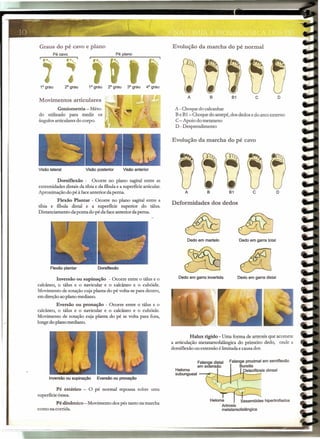 Graus do pé cavo e plano
Pé cavo
1-.0,
,2° gral) 1° grau 2° grau 3° grau 4° grau1° grau
Movimentos articulares
Goniometria - Méto-
do utilizado para medir
ângulosarticularesdo corpo.
Visão posteriorVisão lateral Visão anterior
Dorsiflexão - Ocorre no plano sagital entre as
extremidades distais da tíbia e da &bulae a superfície articular.
Aproximação do pé à faceanterior da perna.
Flexão Plantar - Ocorre no plano sagital entre a
tíbia e fíbula distal e a superfície superior do tálus.
Distanciamento da ponta do pé da face anterior daperna.
Flexão plantar Dorsiflexão
Inversão ou supinação - Ocorre entre o tálus e o
calcâneo, o tálus e o navicular e o calcâneo e o cubóide.
Movimento de rotação cuja planta do pé volta-se para dentro,
em direção aoplano mediano.
Eversão ou pronação - Ocorre entre o tálus e o
calcâneo, o tálus e o navicular e o calcâneo e o cubóide.
Movimento de rotação ruja planta do pé se volta para fora,
longe do plano mediano.
Inversão ou supinação Eversão ou pronação
Pé estático - O pé normal repousa sobre uma
superfícieóssea.
Pé dinâmico - MOvllnentodos pés tanto na marcha
como na corrida.
Evolução da marcha do pé normal
c DA 8 81
A - Choque do calcanhar
B eB1-Choque do antepé, dos dedos edo arco externo
C- Apoio do metatarso
D - Desprendimento
Halux rígido - Uma forma de artrosis que acomete
a articulação metatarsofalângica do primeiro dedo, onde a
dorsiflexão ou extensão élimitada e causa dor.
Evolução da marcha do pé cavo
c DA 8 81
Deformidades dos dedos
Dedo em martelo Dedo em garra total
Dedo em garra invertida Dedo em garra distal
Falange distal
em extensão
Falange proximal em semiflexão
8ursitis
Osteofitosis dorsalHeloma
subungueal
Heloma Sesamóides hipertrofiados
Artrosis
metatarsofalângica
 