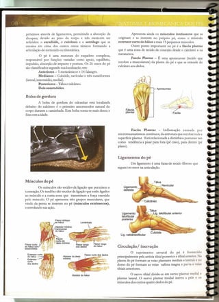 próximos através de ligamentos, permitindo a absorção de
choques, devido ao peso do corpo e três merecem ser
referidos: o escafóide, o calcâneo e o astrálago que se
encaixa em cima dos outros ossos társicos formando a
articulação do tornozelo ou tibiotársica.
O pé é uma estrutura do esqueleto complexa,
responsável por funções variadas como apoio, equilíbrio,
impulsão, absorção de impacto e postura. Os 26 ossos do pé
são classificados segundo sua localização, em: .
Anteriores - 5 metatársicos e 14 falanges.
Medianos - Cubóide, navicular e três cuneiformes
(lateral, intermédio, medial).
Posteriores - Tálus e calcâneo.
Dois sesamóides.
Bolsa de gordura
A bolsa de gordura do calcanhar está localizada
debaixo do calcâneo é o primeiro amortecedor natural do
corpo durante a caminhada. Esta bolsa torna-se mais densa e
fina com a idade.
Músculos do pé
Os músculos são tecidos de ligação que permitem a
contração. Os tendões são tecidos de ligação que estão ligados
ao músculo e a outra zona que transmitem a força exercida
pelo músculo. O pé apresenta três grupos musculares, que
vindo da perna se inserem no pé (músculos extrinsecos),
controlando sua ação.
Flexor oblíquo
do hálux Lombricais
Flexor curto
do hálux com
sesamóides
Flexor longo
dos dedos
Flexor longo
do hálux
Flexor curto dos dedos
Abdutor do hálux
Apresenta ainda os músculos intrinsecos que se
originam e se inserem no próprio pé, como o músculo
extensor curto do hálux e mais 15 pequenos músculos.
Outro ponto importante no pé é a fáscia plantar
que é uma zona de tecido de conexão desde o calcâneo e os
metatarsos.
Fascia Plantar - É uma aponeurose (tecido que
recobre a musculatura) da planta do pé e que se estende do
calcâneo aos dedos.
Aponeurose
-~~':~:~.(~ ...
Facite
Facite Plantar - Inflamação causada por
microtraumatismos contínuos, da estrutura que recobre toda a
superfície plantar. Está relacionada a distúrbios posturais tais
como tendência a pisar para fora (pé cavo), para dentro (pé
plano).
Ligamentos do pé
Um ligamento é uma faixa de tecido fibroso que
segura os ossos na articulação.
I
Lig. calcâneofibular
Circulação / inervação
O suprimento arterial do pé é fornecido
principalmente pela artéria tibial posterior e tibial anterior. Na
planta do pé formam as veias plantares mediais e laterais e no
dorso do pé formam as veias safena magna e parva e veias
tibiais anteriores.
O nervo tibial divide-se em nervo plantar media! e
plantar lateral. O nervo plantar medial inerva a pele e os
músculos dos outros quatro dedos do pé.
 