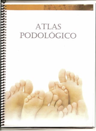 ATLAS
     -"

PODOLOGICO
 