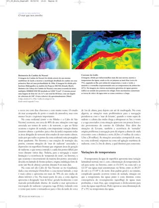 32 ATLAS DE PORTUGAL IGP
UM PAÍS DE ÁREA REPARTIDA
O mar que nos envolve
Batimetria do Canhão da Nazaré
A imagem do Canhão da Nazaré foi obtida através de um sistema
multifeixes de modo a mostrar a morfologia detalhada do canhão nos seus
primeiros 5km até uma profundidade de 330m. A imagem foi obtida pelo
Instituto Hidrográfico no âmbito do Projecto SECNA (Estudo Morfo-
dinâmico da Cabeça do Canhão da Nazaré) com uma ecosonda de feixes
múltiplos SIMRAD EM 950 instalada no UAM “Coral”. O sistema possui
uma largura de feixe de 3.3x 3.3º e um total de 60 feixes, com um ângulo
de cobertura de 130º. A área coberta é de aproximadamente 15km2.
Código colorido de 0 a 330m. Grelha de resolução de 3m.
Escala vertical exagerada 3 vezes.
Corrente do Golfo
A imagem, obtida por infravermelhos num dia sem nuvens, mostra a
temperatura das águas, sendo as de cor púrpura as mais frias (cerca de
7ºC), seguindo-se-lhe, por ordem de temperatura, o azul, o verde, o
amarelo e o vermelho (representando esta cor temperaturas da ordem dos
22ºC). Na imagem são visíveis movimentos giratórios de águas quentes
(eddies) no sentido dos ponteiros do relógio. Estes movimentos aumentam
as trocas de calor e de água entre as zonas costeiras e o largo.
e secos ora com dias chuvosos e com muito vento. O estado
do mar acompanha de perto o estado da atmosfera, mas com
nuances locais e regionais importantes.
Na costa ocidental (entre o rio Minho e o Cabo de São
Vicente) ocorrem, em cerca de 80% do ano, situações com vaga
associada aos ventos de norte e de noroeste, o que no Verão
ocasiona o regime de nortada, com importante variação diurna
(maiores alturas e períodos para o fim da tarde) enquanto todas
as áreas abrigadas de noroeste têm estados de mar muito calmos,
razão por que todos os portos da costa ocidental estão protegidos
deste quadrante. No Inverno e nas estações de transição são,
porém, comuns situações de ‘mar de sudoeste’ associadas a
depressões ou superfícies frontais que originam áreas de geração
de sudoeste, o que torna a entrada e a saída dos portos difícil, por
vezes durante vários dias. Todavia, para a navegação a maior
limitação é a ocorrência de ‘temporais de oeste’, no Inverno, o
que ocasiona o encerramento da maioria dos portos: associada à
descida em latitude de frentes polares, origina ondulação forte de
oeste (até 8m de altura) e persiste durante 8 ou mais dias.
Na costa sul (do Cabo de São Vicente ao rio Guadiana),
dada a sua orientação Oeste/Este e a sua menor latitude, o mar
é mais calmo e apresenta em mais de 70% do ano ondas de
altura inferior a 1m. Na maior parte do ano, a costa algarvia
apresenta o designado ‘mar de brisa’, gerado localmente e com
marcada periodicidade diurna: de manhã o mar apresenta-se
encrespado de sudoeste e pequena vaga (0,5m), rodando com
o vento para norte e tornando-se para o fim da tarde de cerca
de 1m de altura, para depois cair até de madrugada. Na costa
algarvia, as situações mais problemáticas para a navegação
prendem-se com o ‘mar de levante’, quando o vento sopra de
sudeste e a altura das ondas chega a ultrapassar os 3m; o vento
e a vaga associados a esta situação aparecem em poucas horas e
são provenientes do estreito de Gibraltar. Para além das
situações de Levante, também a ocorrência de ‘nortadas’
origina problemas à navegação pois dá origem a alturas de onda
crescentes com a distância a terra (0,5m a 5 milhas da costa e
1,5m a 20 milhas). As situações associadas a temporal de oeste,
na costa ocidental, originam na costa sul agitação marítima de
sudoeste, com 2 a 3m de altura, a qual diminui para sotavento.
Variações de temperatura
A temperatura da água de superfície apresenta uma variação
latitudinal normal, isto é, com a diminuição da temperatura de
sul para norte: no Inverno, entre os 15-16ºC na costa sul e os
12-13º nas águas mais setentrionais; no Verão, entre os 20-21º
do sul e os 17-18º C do norte. Este padrão geral é, no entanto,
complicado quando ocorrem ventos de nortada, situação em
que a temperatura das águas junto à costa diminui, como
consequência do ressurgimento (upwelling) de águas mais
profundas, e mais frias, que compensam o deslocamento para
oeste das águas superficiais. Pode esperar-se uma diminuição de
2º a 3ºC na temperatura das águas.
871_05_Miolo_Pags1a80 06/02/01 12:21 Página 32
 