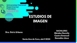 ESTUDIOS DE
IMAGEN
BACHILLERES
Méndez Hecmily
Castro Emanuel
González Jésus
Dra. Osiris Urbano
Santa Ana de Coro, abril 2024
 