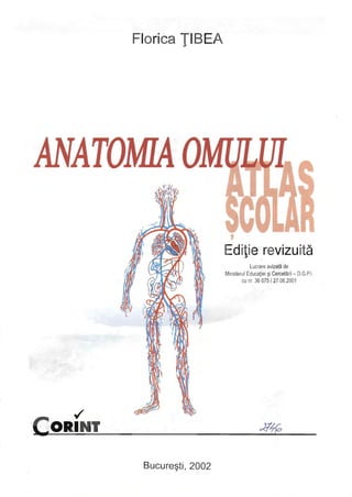 Florica ŢIBEA 
, 
Edi ţi e revizuită Lucrare avizată de Ministerul Educaţiei şi Cercetării O, GPI. cu nr, 36075/2708,2001 
-CORINT 
./ 
Bucureşti, 2002 
 