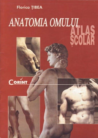 Atlas scolar anatomie-