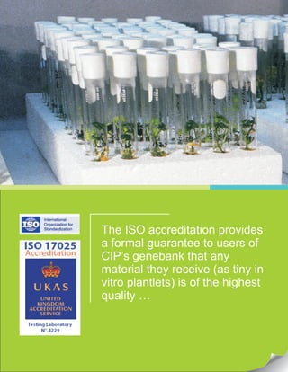 The ISO accreditation provides
a formal guarantee to users of
CIP’s genebank that any
material they receive (as tiny in
vitro plantlets) is of the highest
quality …
 