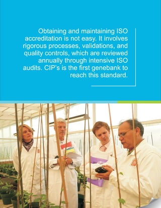 Obtaining and maintaining ISO
accreditation is not easy. It involves
rigorous processes, validations, and
quality controls, which are reviewed
annually through intensive ISO
audits. CIP’s is the first genebank to
reach this standard.
 