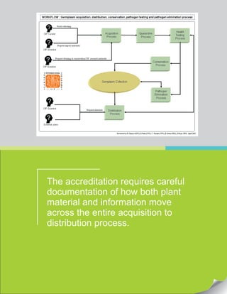 The accreditation requires careful
documentation of how both plant
material and information move
across the entire acquisition to
distribution process.
 
