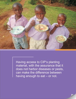 Having access to CIP’s planting
material, with the assurance that it
does not harbor diseases or pests,
can make the difference between
having enough to eat – or not.
 