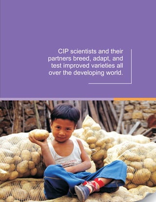 CIP scientists and their
partners breed, adapt, and
test improved varieties all
over the developing world.
 