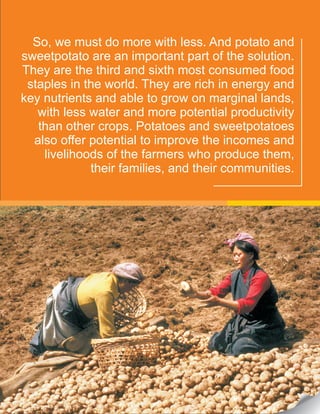 So, we must do more with less. And potato and
sweetpotato are an important part of the solution.
They are the third and sixth most consumed food
staples in the world. They are rich in energy and
key nutrients and able to grow on marginal lands,
with less water and more potential productivity
than other crops. Potatoes and sweetpotatoes
also offer potential to improve the incomes and
livelihoods of the farmers who produce them,
their families, and their communities.
 