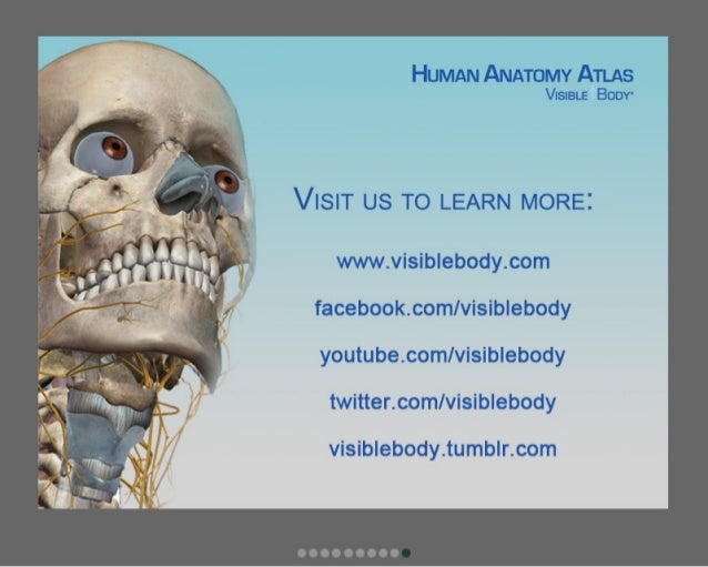 human anatomy atlas for mac human anatomy atlas for mac