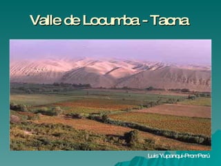 Valle de Locum - Tacna
              ba




                Luis Yupanqui-PromPerú
 