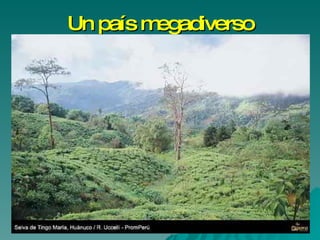 Un país megadiverso
 