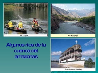 Río Marañón




Algunos ríos de la
   cuenca del
   am azonas
 