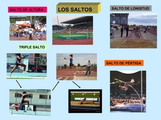 LOS SALTOS SALTO DE ALTURA TRIPLE SALTO SALTO DE PÉRTIGA SALTO DE LONGITUD 