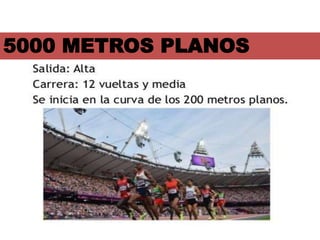 5000 METROS PLANOS
 
