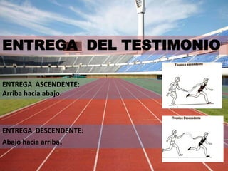 ENTREGA DEL TESTIMONIO
ENTREGA ASCENDENTE:
Arriba hacia abajo.
ENTREGA DESCENDENTE:
Abajo hacia arriba.
 