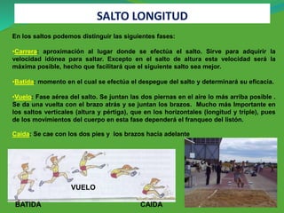 SALTO LONGITUD
BATIDA
VUELO
CAIDA
En los saltos podemos distinguir las siguientes fases:
•Carrera: aproximación al lugar donde se efectúa el salto. Sirve para adquirir la
velocidad idónea para saltar. Excepto en el salto de altura esta velocidad será la
máxima posible, hecho que facilitará que el siguiente salto sea mejor.
•Batida: momento en el cual se efectúa el despegue del salto y determinará su eficacia.
•Vuelo: Fase aérea del salto. Se juntan las dos piernas en el aire lo más arriba posible .
Se da una vuelta con el brazo atrás y se juntan los brazos. Mucho más Importante en
los saltos verticales (altura y pértiga), que en los horizontales (longitud y triple), pues
de los movimientos del cuerpo en esta fase dependerá el franqueo del listón.
Caída: Se cae con los dos pies y los brazos hacia adelante
 