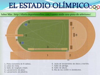 Saber Más : http://diario.deportesonline.com/cuanto-mide-una-pista-de-atletismo/
 