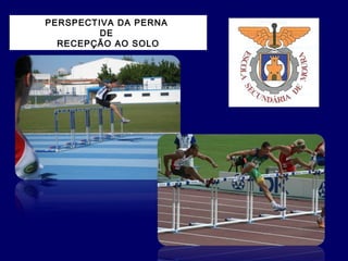 PERSPECTIVA DA PERNA
DE
RECEPÇÃO AO SOLO
 