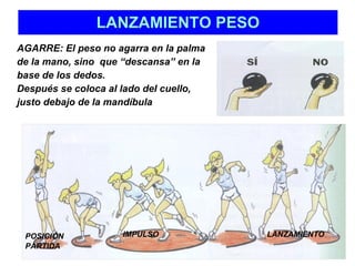 LANZAMIENTO PESO AGARRE: El peso no agarra en la palma  de la mano, sino  que “descansa” en la  base de los dedos.  Después se coloca al lado del cuello,  justo debajo de la mandíbula POSICIÓN PARTIDA IMPULSO LANZAMIENTO 