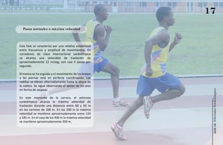 17
  Pasos normales o máxima velocidad



Esta fase se caracteriza por una relativa estabilidad
entre frecuencia y amplitud de movimientos. En
corredores de clase internacional sordolímpica
se alcanza una velocidad de traslación de
aproximadamente 12 m/seg, con casi 5 pasos por
segundo.

El tronco se ha erguido y el movimiento de los brazos
y las piernas está en perfecta coordinación. Las
rodillas se elevan alternadamente hasta la altura de
la cadera. Se sigue observando el apoyo de los pies
en forma de zarpazo.




                                                         Atletismo Sordolímpico
En este momento de la carrera, el velocista
sordolímpico alcanza la máxima velocidad de
traslación durante una distancia entre 60 y 50 m
en las carreras de 100 m. En los 200 m la máxima
velocidad se mantiene aproximadamente entre 150
y 185 m. En el caso de los 400 m la máxima velocidad
se mantiene aproximadamente 350 m.




                                                              guía de
 