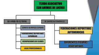 TEJIDO ASOCIATIVO
(SIN ANIMOS DE LUCRO)
 