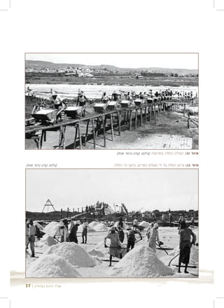 ‫איור 12: הובלת המלח במריצות )צילום: קורט ברמר 0391(‬

‫)צילום: קורט ברמר 0391(‬   ‫איור 22: עירום המלח על ידי פועלים כפריים, ברקע הר המלח‬




‫שביל הרכס בעתלית | 73‬
 