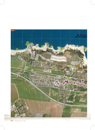 ‫שביל הרכס בעתלית | 91‬
 