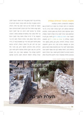 ‫במהירות בכדי ליצור באופן מהיר את החומה החצובה לאורך‬                ‫מחצבות הכורכר המיוחדות בעתלית‬
‫הרכס. באופן זה ניצלו את סלע הכורכר כחומר גלם לבניית‬                        ‫בתקופות ההלניסטית, הרומית, והצלבנית‬
‫המבצר ובו זמנית יצרו קו הגנה חצוב בצד מזרח. תחילה‬         ‫)מהמאה ה-2 לפני הספירה עד המאה ה-31 לספירה( עשו‬
‫נחצב קצהו המזרחי של רכס הכורכר לאורכו ובהדרגה חצבו‬        ‫הקדמונים שימוש רחב היקף בכורכר לצרכי בנייה. כל ערי‬
‫מערבה עד שהגיעו לשיא הרכס. כך נוצר לאורך הרכס‬             ‫החוף העתיקות בחוף הכרמל נבנו מאבן הכורכר. הצלבנים‬
‫קיר תלול באורך כמה קילומטרים ששימש כחומה. החציבה‬          ‫השתמשו באבני כורכר לצורך בניית מצודת דוסטרי )מצודת‬
‫התבצעה על ידי כריית תעלה ארוכה וצרה לאורך הרכס‬            ‫המעבר הצר- תחנה 22 במפה 1 להלן( ולאחר מכן לבניית‬
‫ברוחב כמטר ועומק מטר. במרכז התעלה חצבו חריץ צר‬            ‫המבצר בעתלית )נ' נצפית 61 במפה 2 להלן(. מחצבות‬
‫ועמוק ולתוכו דפקו בכוח טריזי עץ משופעים )איור 7(. טריזי‬   ‫הכורכר בעתלית מיוחדות במינן ואין כמותן במקום אחר‬
‫העץ יצרו לחץ חזק על דפנות התעלה, לעיתים הורטבו‬            ‫בארץ או במקומות אחרים סביב הים התיכון. המחצבות‬
‫הטריזים במים והתרחבו ולבסוף ניתק גוש כורכר גדול‬           ‫שמשו כמקור לאבני בנייה וגם כמתקנים שונים חצובים באבן‬
‫מהרכס. את גושי האבן הגדולים שהוסרו חילקו לאחר מכך‬         ‫וכחומת הגנה. החומה שמשה כקו הגנה שנועד למנוע הגעת‬
‫לחלקים קטנים בכדי שישמשו כאבני בניין. את האבנים‬           ‫פרשים רכובים על סוסים לכיוון המבצר. אבני הכורכר נחצבו‬
‫הובילו בעגלות רתומות לבהמות משא, בדרכים שנחצבו‬            ‫בטכניקה מיוחדת שאפשרה הסרת חלקים גדולים של הסלע‬

                                                                           ‫איור 7: תעלה ששמשה לחציבת הכורכר‬




                                                                                       ‫| שביל הרכס בעתלית‬   ‫62‬
 