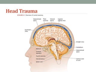 Head Trauma
 