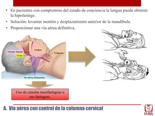 Uso de cánulas nasofaríngeas u
oro faríngeas.
A. Vía aérea con control de la columna cervical
• En pacientes con compromiso del estado de conciencia la lengua puede obstruir
la hipofaringe.
• Solución: levantar mentón y desplazamiento anterior de la mandíbula.
• Proporcionar una vía aérea definitiva.
 