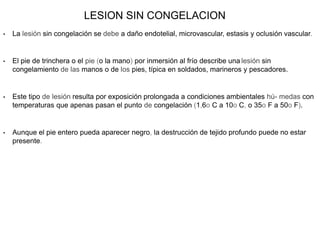• La lesión sin congelación se debe a daño endotelial, microvascular, estasis y oclusión vascular.
• El pie de trinchera o el pie (o la mano) por inmersión al frío describe una lesión sin
congelamiento de las manos o de los pies, típica en soldados, marineros y pescadores.
• Este tipo de lesión resulta por exposición prolongada a condiciones ambientales hú- medas con
temperaturas que apenas pasan el punto de congelación (1,6o C a 10o C, o 35o F a 50o F).
• Aunque el pie entero pueda aparecer negro, la destrucción de tejido profundo puede no estar
presente.
LESION SIN CONGELACION
 