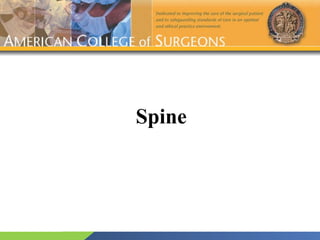 Spine 