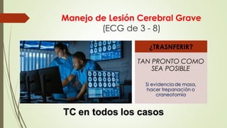 ATLS CAPITULO 6 TRAUMA CREANEO ENFEFALICO | PDF