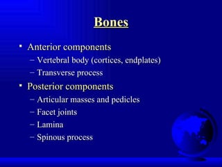 Bones Anterior components Vertebral body (cortices, endplates) Transverse process  Posterior components Articular masses and pedicles Facet joints Lamina Spinous process 